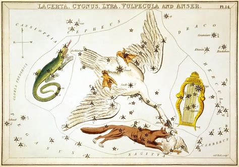 hermes constellation|constellation lyra mythology quotes.